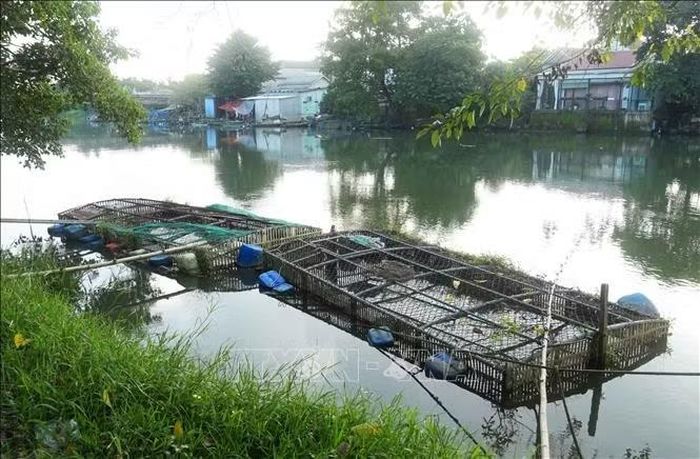 Lồng nuôi cá trên sông Bồ, phường Kim Trà, thành phố Huế.
