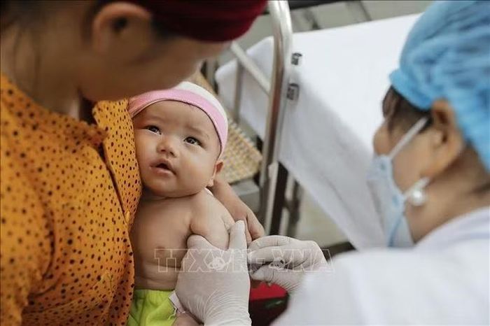 Việc cung ứng kịp thời các loại vaccine góp phần bảo đảm hiệu quả chương trình tiêm chủng trên địa bàn tỉnh Tuyên Quang. Ảnh: Minh Quyết/TTXVN