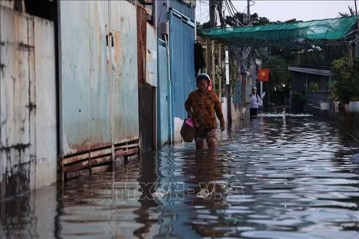 Tuyến đường Rạch Cùng ngập sâu kéo dài 500 m do triều cường lên cao chiều 28/10. Đây là một trong những điểm ngập nặng nhất khi có triều cường ở TP. Hồ Chí Minh trong thời gian qua.
