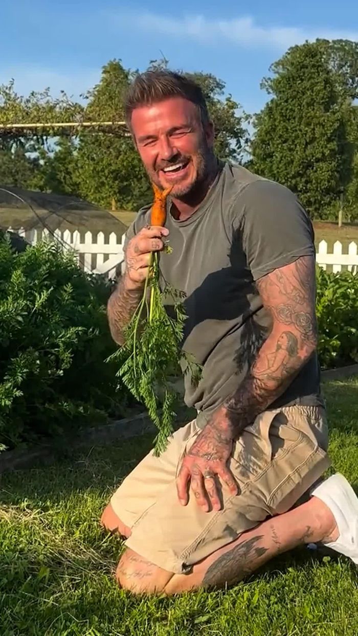 Hình ảnh thu hoạch nông sản của Beckham.