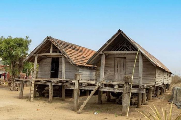 Hình tượng rau dớn ở cầu thang. Ảnh: Nguyễn Linh Vinh Quốc