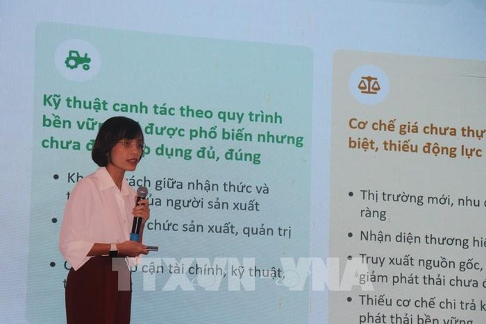 Bà Hoàng Lê Trang (Oxfarm tại Việt Nam) phát biểu tại lễ khởi động. Ảnh: Thu Hiền – TTXVN