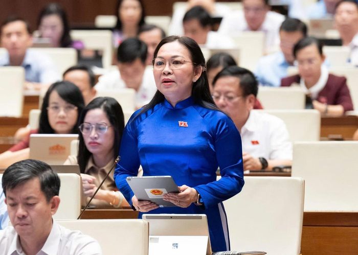 Đại biểu Lý Anh Thư, Phó trưởng đoàn đại biểu Quốc hội tỉnh An Giang