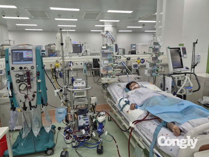 Bệnh viện Nhi đồng 1 vừa cứu sống bé 7 tuổi nguy kịch do cúm A.