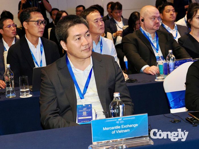 Các đại biểu tham dự buổi làm việc với Phó Thủ tướng Chính phủ Nguyễn Văn Thắng về Trung tâm Tài chính quốc tế Việt Nam.