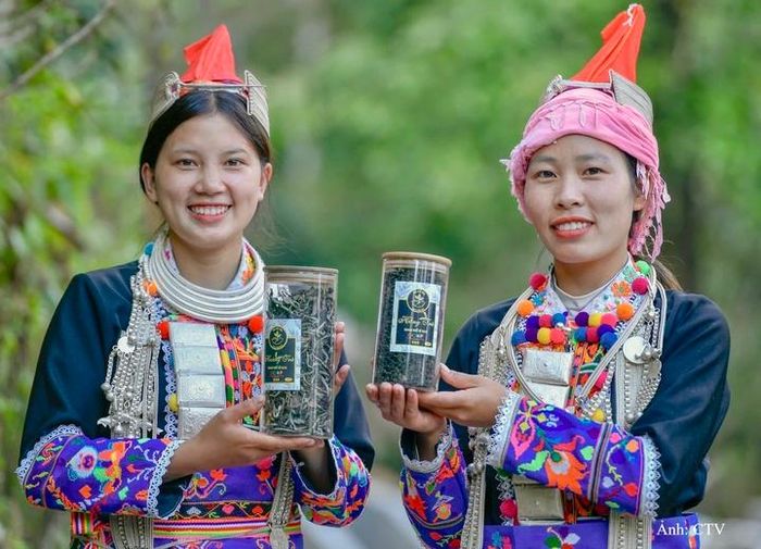 Sản phẩm chè cổ thụ của Lai Châu sẽ được trưng bày, quảng bá tại Hội chợ thương mại quốc tế Lai Châu năm 2026.
