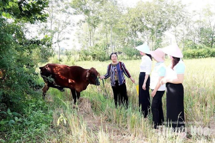 Hội LHPN xã Thiệu Trung thăm, động viên chị Lê Thị Yên thôn Trà Đông được hỗ trợ “Bê vàng” để phát triển kinh tế.