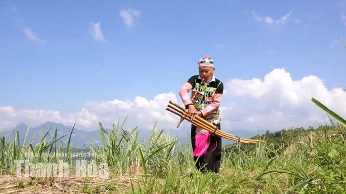 Ông Thao Văn Lâu biểu diễn khèn Mông.
