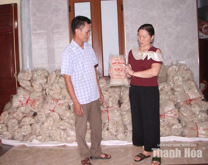 Sản phẩm miến gạo Sơn Xuân dần khẳng định thương hiệu, có chỗ đứng trên thị trường.