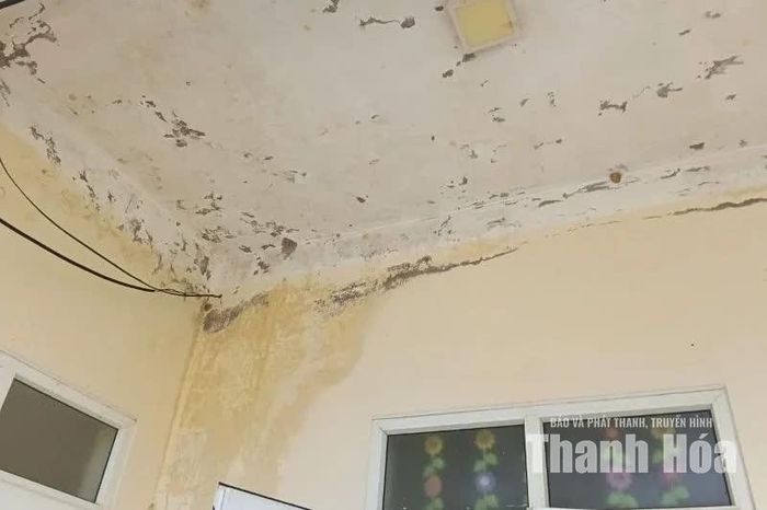 Nhiều điểm trường mầm non ở Quang Chiểu bị ngấm, dột.