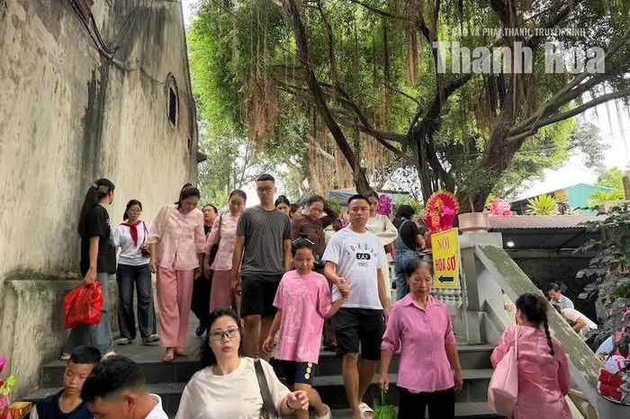 Theo ghi nhận, ngoài khách nội tỉnh thì chủ yếu là du khách từ các tỉnh phía Bắc và Nghệ An, Hà Tĩnh.
