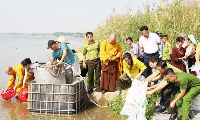 Các đại biểu tham gia thả 10.000 con cá chép phóng sinh xuống sông Đuống, góp phần bảo vệ đa dạng sinh học, gia tăng nguồn lợi thủy sản trên địa bàn thành phố.