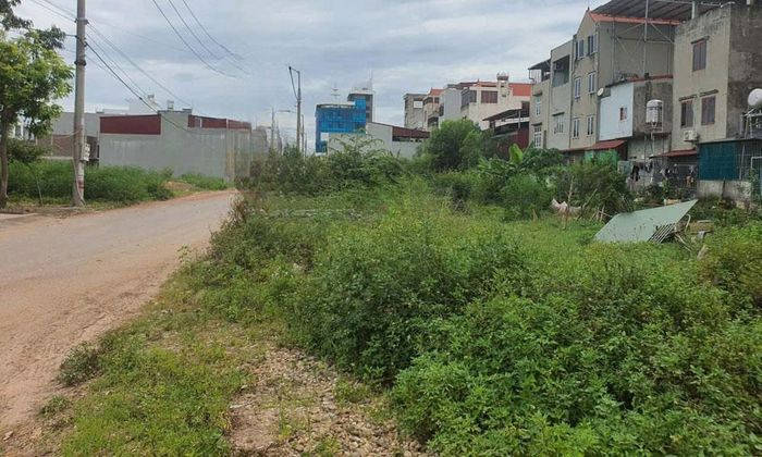 Xã Tân Dĩnh tổ chức đấu giá một số lô đất tại Khu dân cư thôn Tân Sơn, tăng thu tiền sử dụng đất.