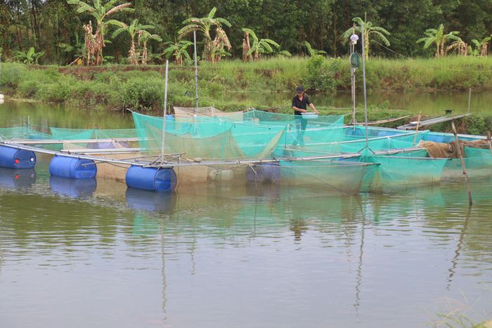 Môi trường biển, sông, hồ sẽ được duy trì để đảm bảo tái tạo và phát triển các nguồn lợi thủy sản. Ảnh: HOÀNG HIỆP