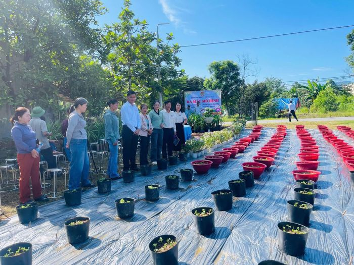 Hội Nông dân xã Trước Trà triển khai mô hình hoa, cây cảnh theo hướng nông nghiệp thông minh. Ảnh: Hội nông dân Phước Trà