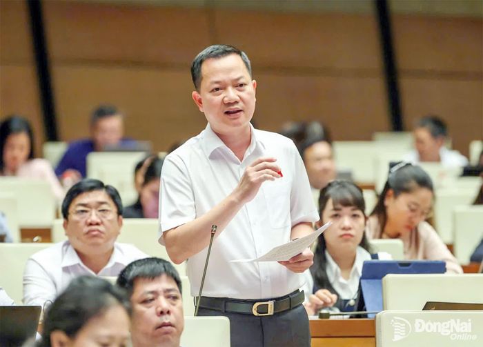 Đại biểu Trịnh Xuân An (Đoàn Đại biểu Quốc hội thành phố Đồng Nai) phát biểu tại phiên thảo luận. Ảnh: CTV