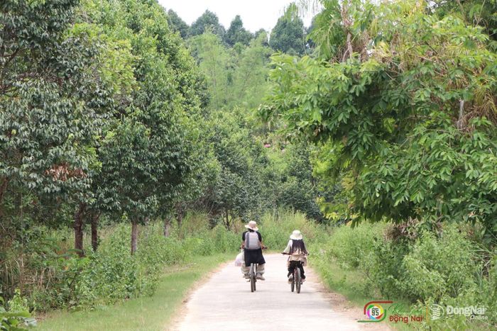 Không gian thiên nhiên và sự đa dạng sinh học tại Vườn quốc gia Cát Tiên thu hút du khách. Ảnh: Ngọc Liên