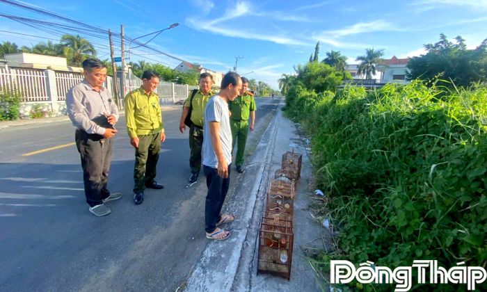 Chủ hộ kinh doanh tự nguyện thả hàng chục cá thể chim sâu chưa rõ nguồn gốc về lại môi trường tự nhiên.