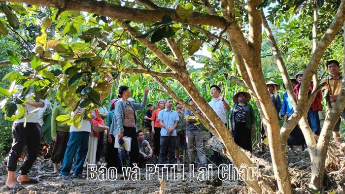 Thông qua các mô hình thực nghiệm, nông dân được hướng dẫn khai thác dữ liệu để nâng cao hiệu quả canh tác.