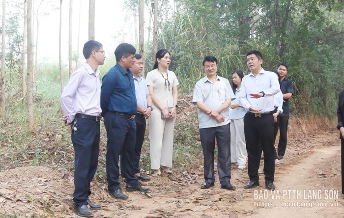 Đoàn khảo sát thực tế tại công trình tuyến đường Khau Lạp, thôn Bản Héc (xã Cao Lộc)