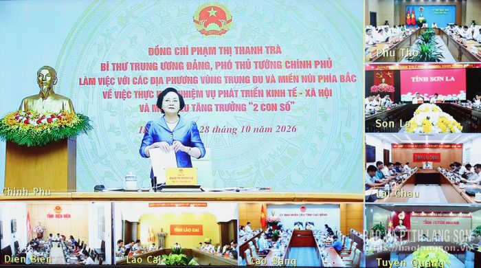 Đồng chí Phạm Thị Thanh Trà, Bí thư Trung ương Đảng, Phó Thủ tướng Chính phủ phát biểu tại buổi làm việc (Ảnh chụp màn hình)