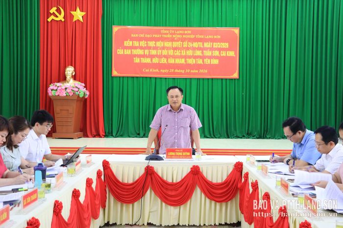 Đồng chí Lương Trọng Quỳnh, Ủy viên Ban Thường vụ Tỉnh ủy, Trưởng Ban Nội chính Tỉnh ủy, Phó Trưởng ban Thường trực BCĐ phát biểu kết luận tại buổi kiểm tra các xã khu vực Hữu Lũng