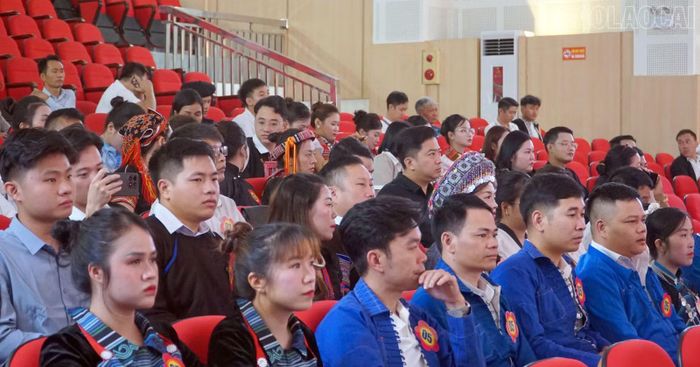 11 đội xuất sắc tham gia thi tại vòng chung kết.
