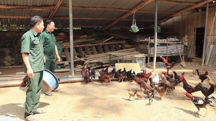 Các cựu chiến binh xã Nghĩa Đô thi đua phát triển kinh tế, giúp nhau làm giàu.
