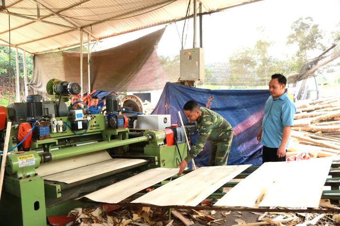 Từ các mô hình phát triển kinh tế, xã Nghĩa Đô có 168 cựu chiến binh thuộc hộ khá và giàu.