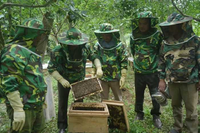Kiểm tra sức khỏe đàn ong là cơ sở để người nuôi điều chỉnh biện pháp chăm sóc phù hợp với điều kiện thời tiết.
