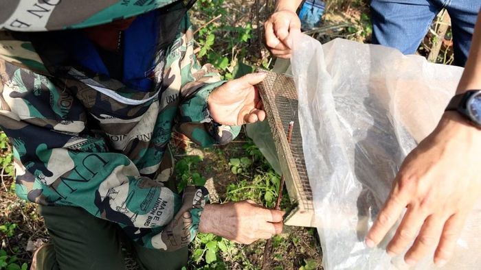 Tận dụng vật liệu sẵn có để che chắn, hạn chế tác động của thời tiết đến đàn ong.