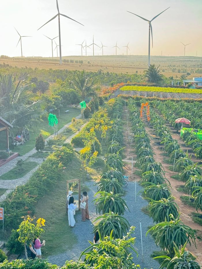 Xã Hòa Thắng đang từng bước khơi mở tiềm năng du lịch
