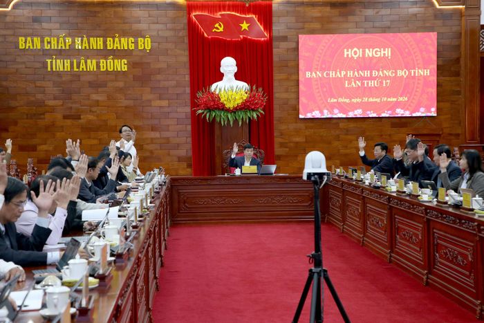 Các đại biểu biểu quyết thông qua các nội dung tại Hội nghị Ban Chấp hành Đảng bộ tỉnh lần thứ 17