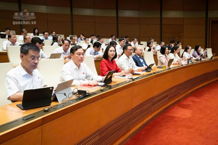 Đại biểu dự phiên thảo luận tại nghị trường. (Ảnh: Quốc hội)
