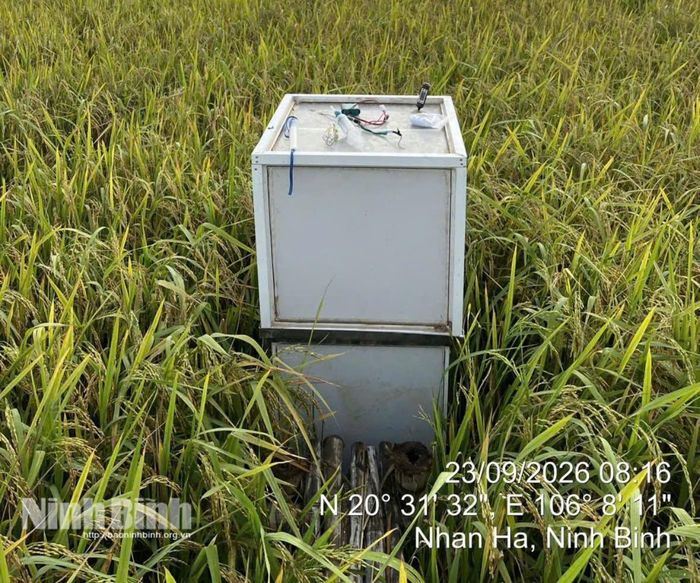 Thiết bị buồng đo khí phát thải chuyên dụng được đặt ngay trên chân ruộng để đo đếm chính xác lượng khí nhà kính cắt giảm qua từng mùa vụ. Ảnh: Chi cục Trồng trọt và BVTV
