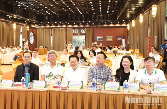 Các đại biểu dự hội thảo. 