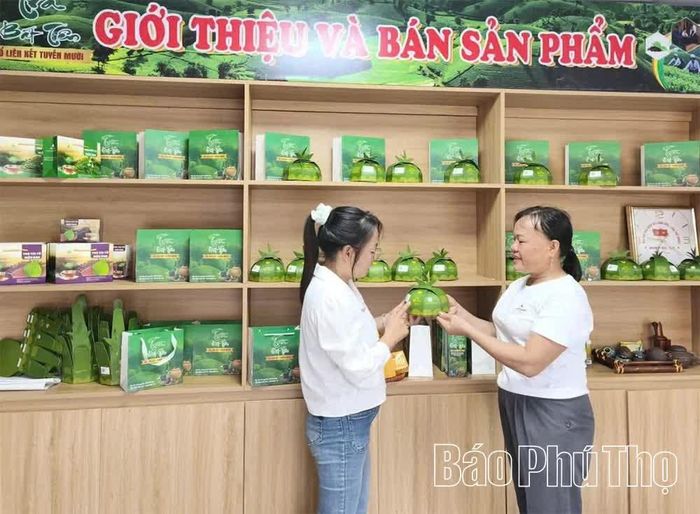 Sản phẩm chè Quý Lê đạt chứng nhận OCOP 3 sao tại xã Long Cốc, góp phần xây dựng thương hiệu chè sạch, tạo niềm tin với người tiêu dùng.
