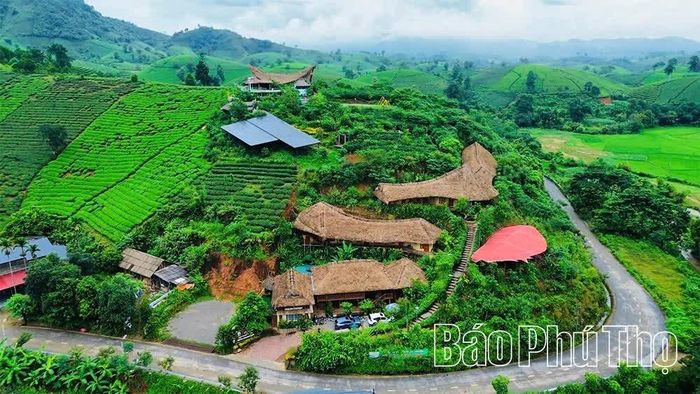 Nhiều sản phẩm du lịch mới gắn với cây chè được hình hành, hứa hẹn giải quyết việc làm và tạo ra giá trị kinh tế tối ưu trên các vùng chè.