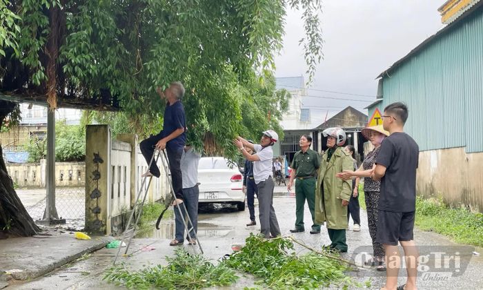 Các cựu chiến binh cùng Nhân dân tham gia chặt tỉa cây xanh trước mùa mưa bão - Ảnh: H.L