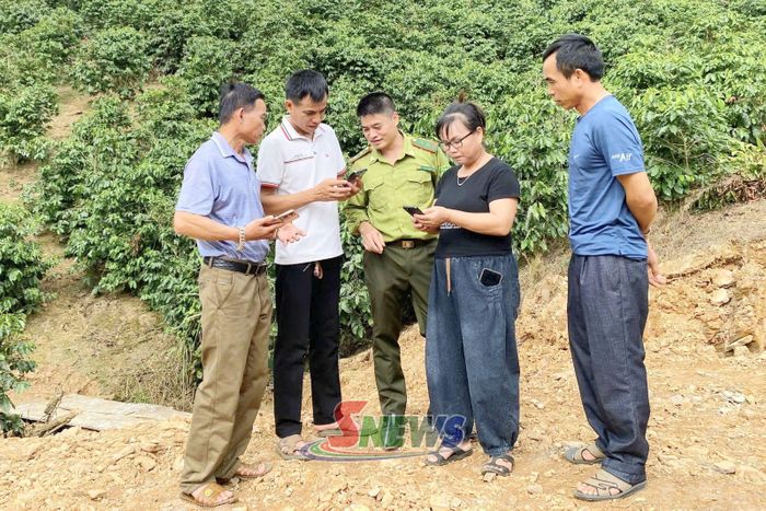 Cán bộ kiểm lâm hướng dẫn người dân bản Nà Hạ, xã Phiêng Pằn sử dụng phần mềm thu thập dữ liệu vùng trồng cà phê.