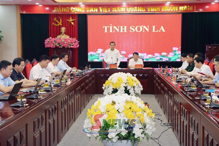 Đồng chí Nguyễn Đình Việt, Phó Bí thư Tỉnh ủy, Chủ tịch UBND tỉnh, báo cáo tại cuộc làm việc.