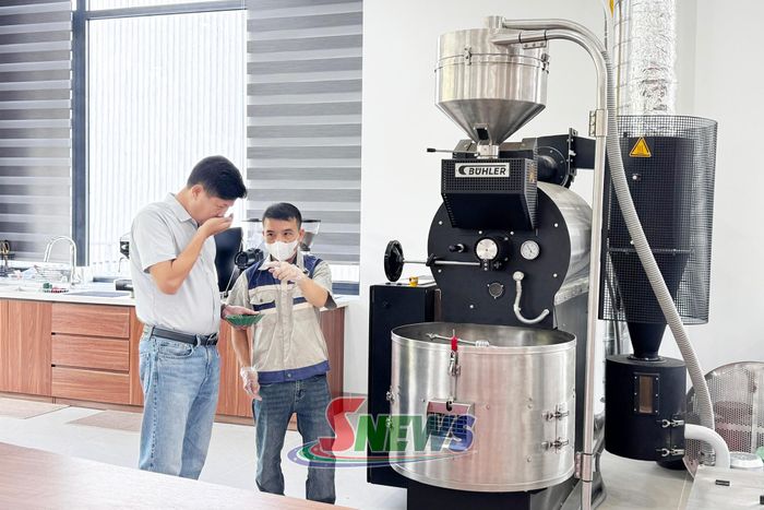 Lãnh đạo Công ty TNHH Sản xuất và Thương mại Cát Quế kiểm tra chất lượng hạt cà phê.