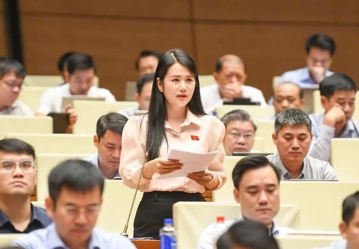 ĐBQH Vương Thị Hương phát biểu.