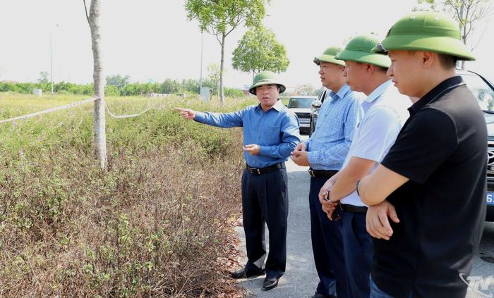 Đồng chí Bùi Văn Lương kiểm tra Dự án Khu dân cư Tân Việt.