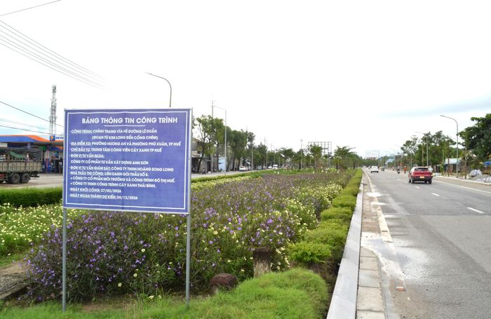 Dự án cho cải tạo hệ thống mương, hố ga thoát nước theo cao độ vỉa hè chỉnh trang. Mở rộng mặt đường phía đường sắt đoạn giáp cầu An Hòa và bổ sung hệ thống điện chiếu sáng phía đối diện công viên An Hòa. Triển khai sơn mặt đường và tổ chức an toàn giao thông trên tuyến.