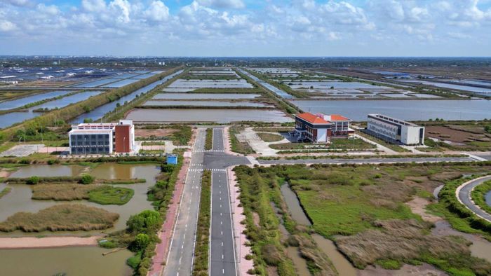 Khu Nông nghiệp ứng dụng công nghệ cao phát triển tôm Bạc Liêu (phường Hiệp Thành, tỉnh Cà Mau).