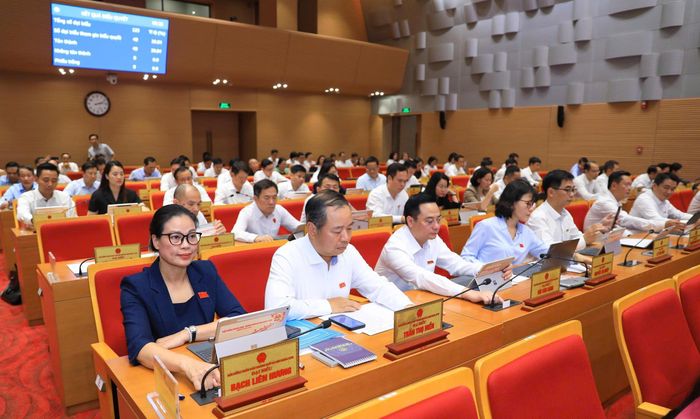 Đại biểu biểu quyết thông qua nghị quyết.