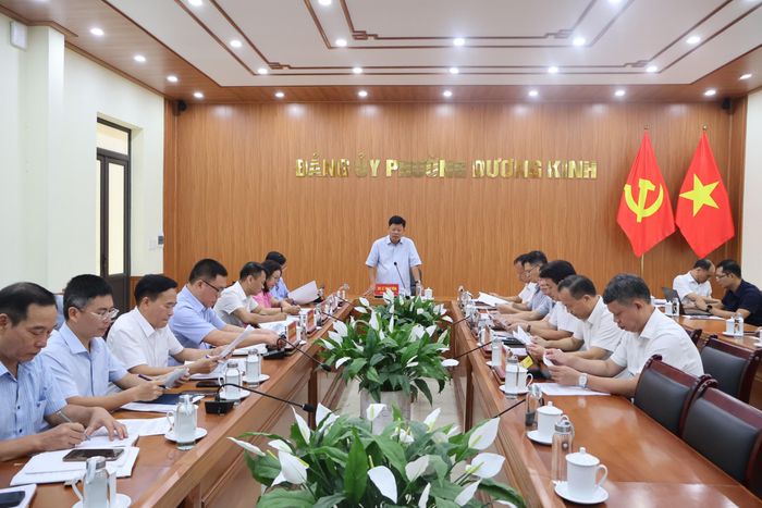 Phó Chủ tịch UBND TP Hải Phòng Lê Trung Kiên phát biểu chỉ đạo tại cuộc họp.