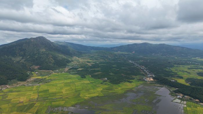 Trên cung đường từ trung tâm Pleiku đến với núi lửa Chư Đăng Ya mùa này cũng là lúa chín vàng thơm ngát. Cảnh sắc đan xen tạo nên bức tranh đầy màu sắc. 