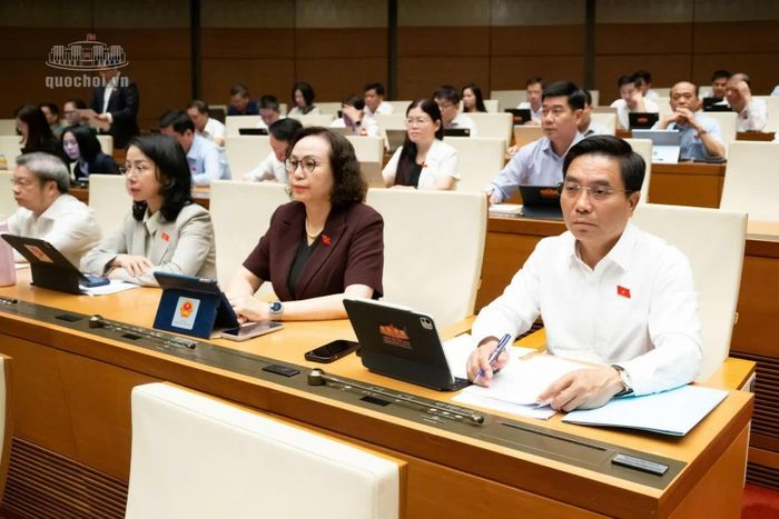 Các đại biểu tham dự phiên họp.